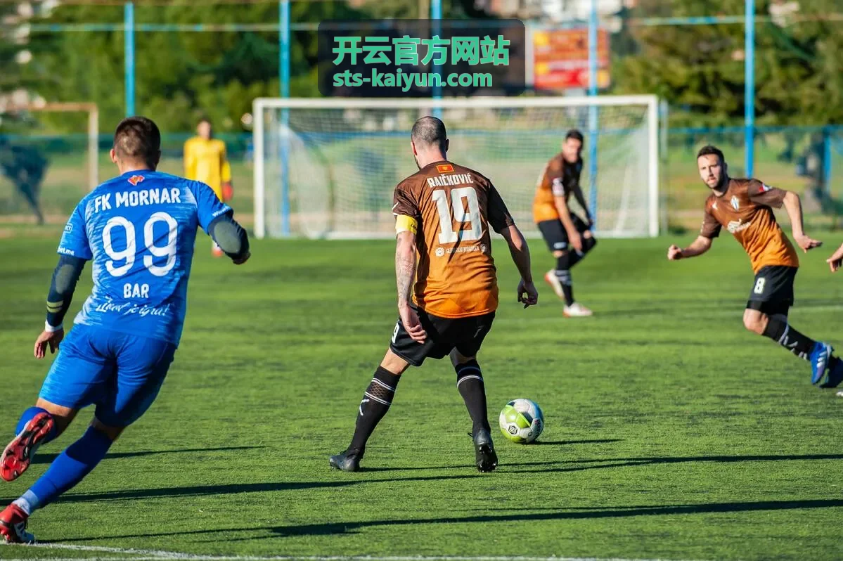 开云官方网站数据API接口服务